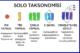 Solo Taksonomisi Basamakları
